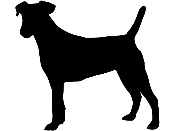 Cane mod.06 (40x37 cm)